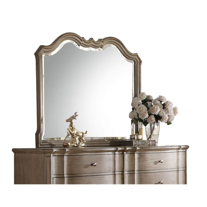 Acme Furniture Chelmsford Antique Taupe Mirror ACM-26054