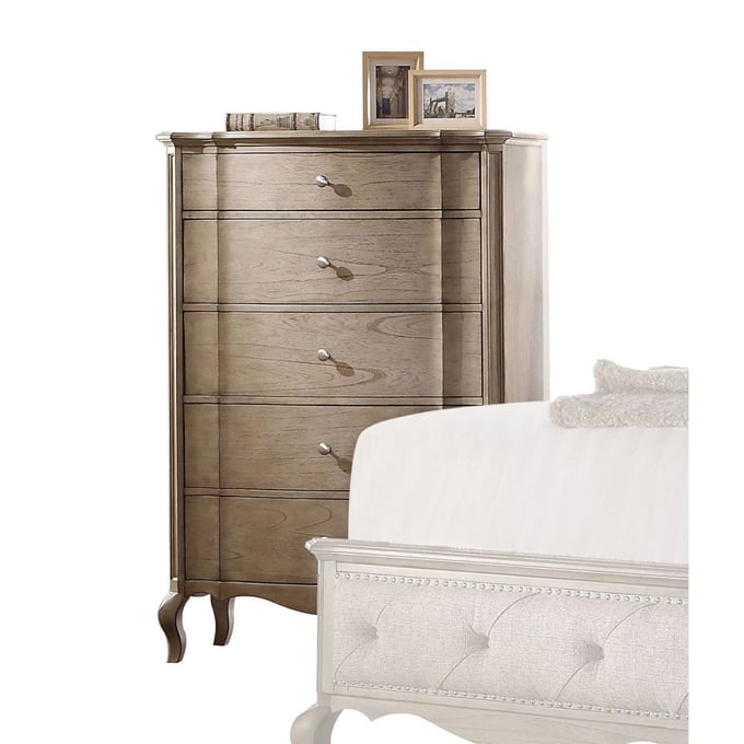 Acme Furniture Chelmsford Antique Taupe Chest ACM-26056