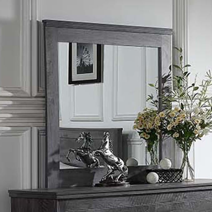  ACME Furniture Louis Philippe III Mirror, Antique Gray