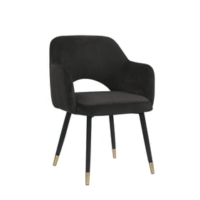 Acme Furniture Applewood Black Gold Accent Chair