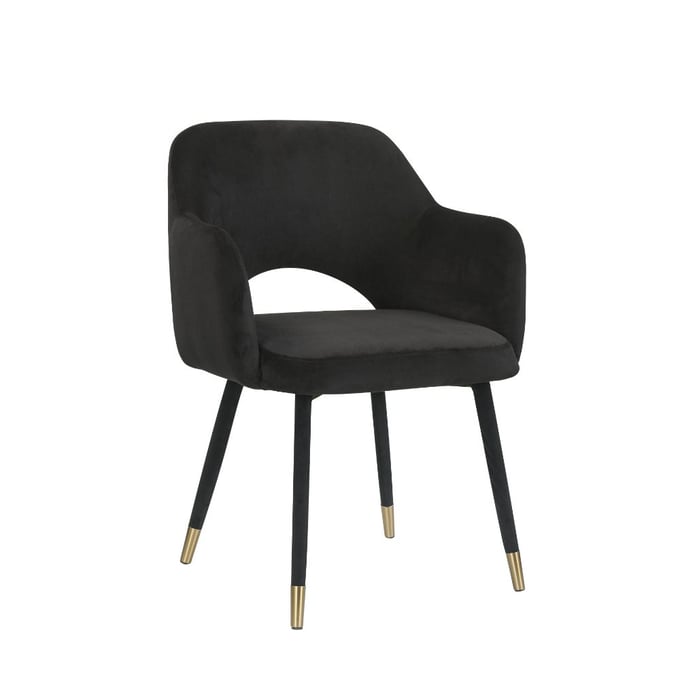 Acme Furniture Applewood Black Gold Accent Chair ACM-59854