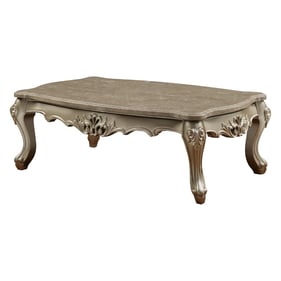 Acme Furniture Ranita Champagne Coffee Table