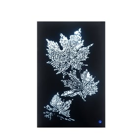 Acme Furniture Hadrias Clear Smoky Wall Art with LED