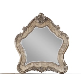 Acme Furniture Ragenardus Vintage Oak Mirror