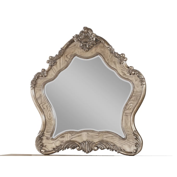 Acme Furniture Ragenardus Vintage Oak Mirror ACM-26314