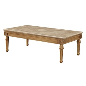 Acme Furniture Daesha Antique Gold Coffee Table