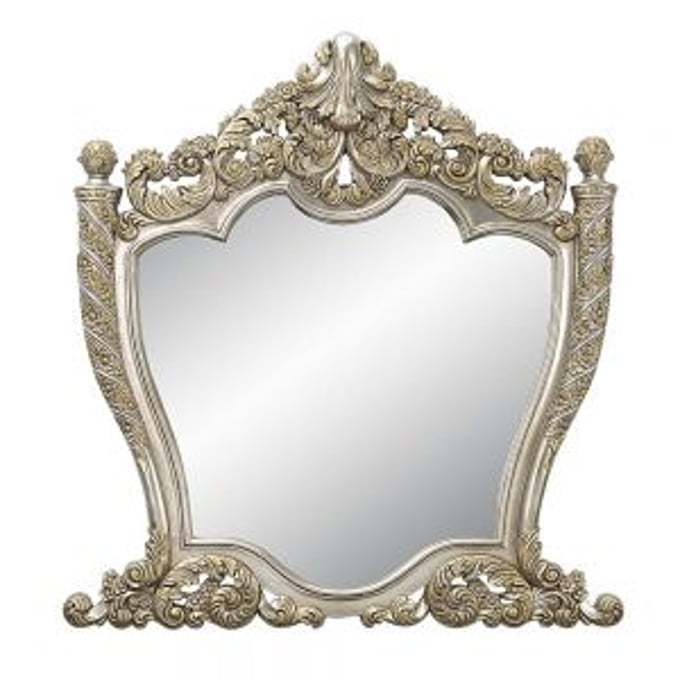 Acme Furniture Danae Champagne Gold Mirror ACM-BD01236