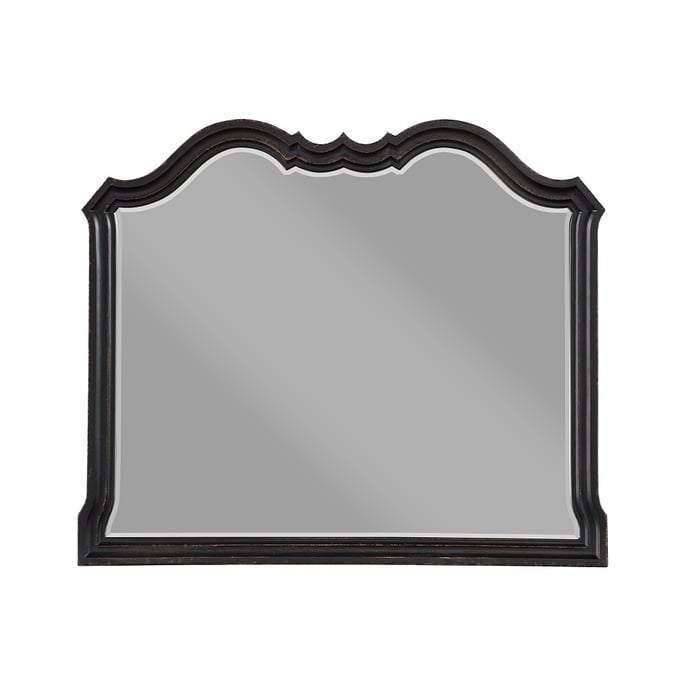 Acme Furniture Chelmsford Antique Black Mirror ACM-BD02298