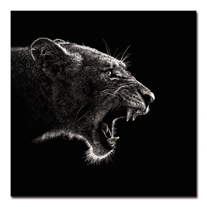 Amazing Oppidan Home Roaring Lioness Acrylic Wall Art AMZRUG-AR-61079