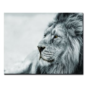 Amazing Oppidan Home Observing Lion Acrylic Wall Art