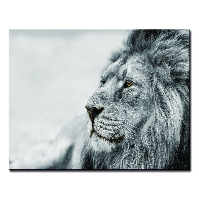 Amazing Oppidan Home Observing Lion Acrylic Wall Art AMZRUG-AR-61082