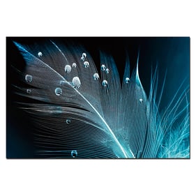 Amazing Oppidan Home Peacock Feather with Water Droplets Acrylic Wall Art