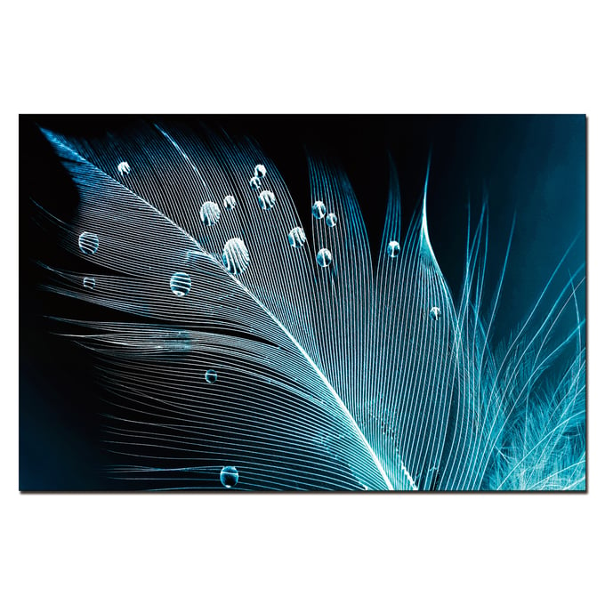 Amazing Oppidan Home Peacock Feather with Water Droplets Acrylic Wall Art AMZRUG-AR-82190