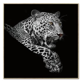 Amazing Oppidan Home Black White Leopard Acrylic Wall Art