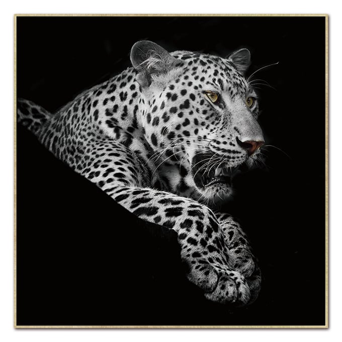 Amazing Oppidan Home Black White Leopard Acrylic Wall Art AMZRUG-LEP6134