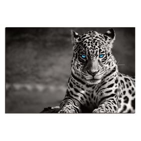 Amazing Oppidan Home Black White Spotted Leopard Acrylic Wall Art