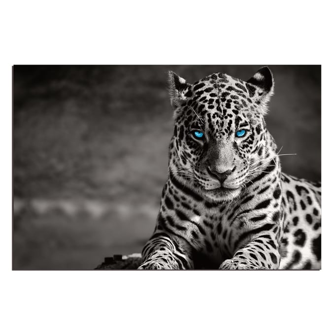 Amazing Oppidan Home Black White Spotted Leopard Acrylic Wall Art AMZRUG-LPBE-99996