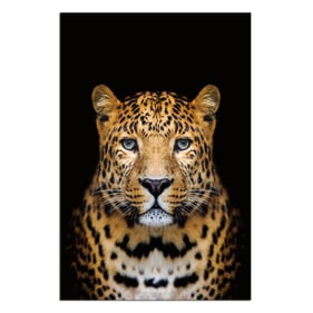 Amazing Oppidan Home Spotted Leopard Acrylic Wall Art