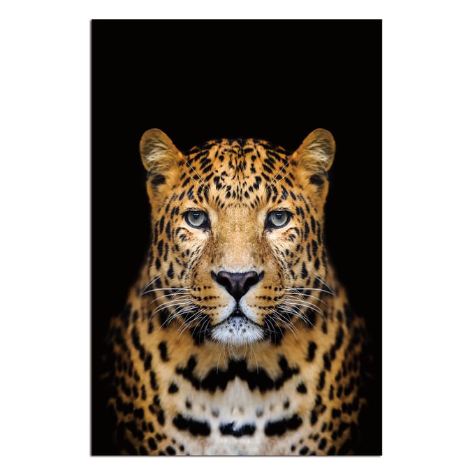 Amazing Oppidan Home Spotted Leopard Acrylic Wall Art AMZRUG-LPC-99993