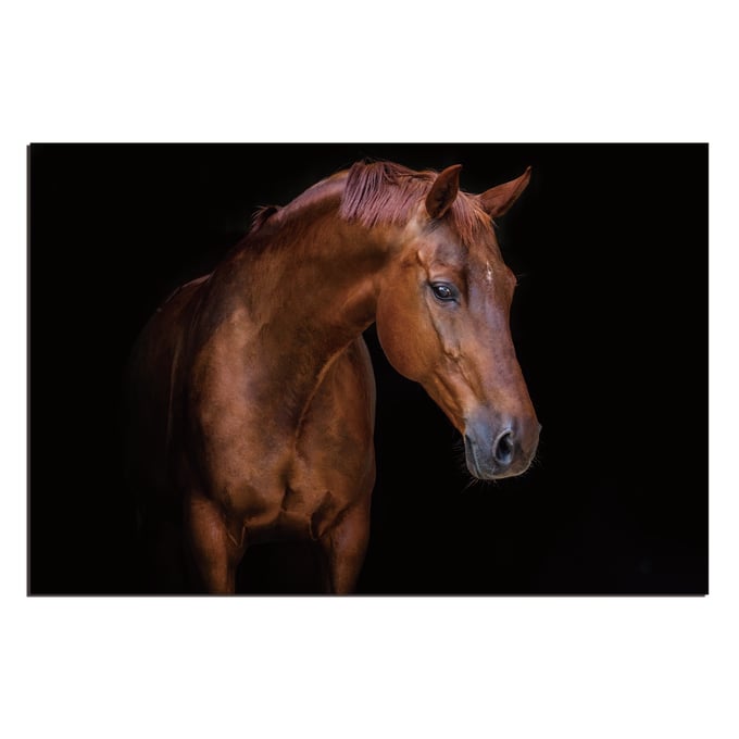 Amazing Oppidan Home Pensive Mare Acrylic Wall Art AMZRUG-SH6140