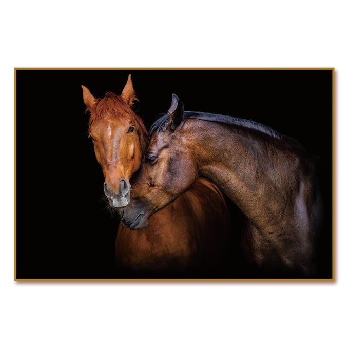 Amazing Oppidan Home Horses Caressing Acrylic Wall Art AMZRUG-TH6141