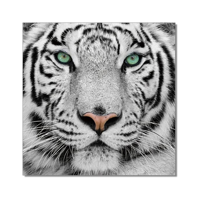 Amazing Oppidan Home Snow Tiger Acrylic Wall Art AMZRUG-WT61099