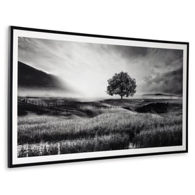 Ashley Furniture Deborland Black White Wall Art