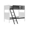 Twin Bunk Bed Rails and Ladder