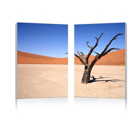 Baxton Studio Desert Solitude Mounted Photography Print Diptych