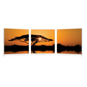 Baxton Studio Savannah Sunset Mounted Photography Print Triptych