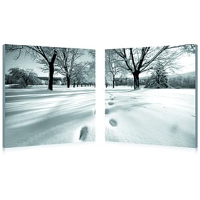 Baxton Studio Black White Telltale Trail Mounted Photography Print Diptych