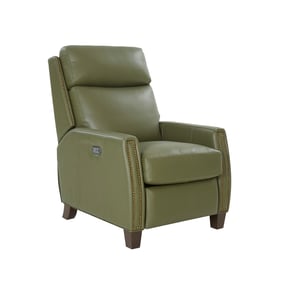 Barcalounger Anaheim Giorgio Chive Power Head Rest Recliner