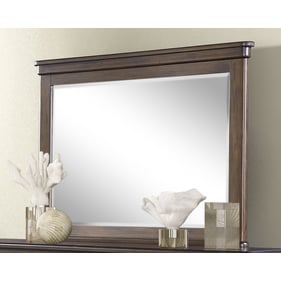 Bernards Danville Spice Brown Landscape Mirror