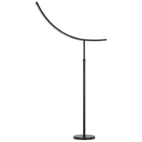 Cal Lighting Dark Bronze Intergrated LED Adjustable Floor Lamp