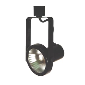 Cal Lighting Line Voltage Black Par 38 Fixture