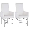 Contemporary Arm Chair w/ Steel Frame - 2 per box