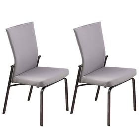 2 Chintaly Imports Molly Grey Motion Back Side Chairs