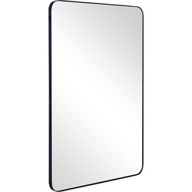 Camden Isle Black Rectangular Metal Frame Mirror