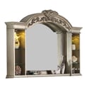 Cosmos Furniture PlatinumTraditional Style Mirror in Silver finish Wood