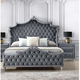 Coaster Furniture Antonella Grey 2pc Bedroom Set with Queen Bed