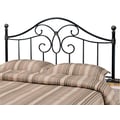 Bailey Queen / Full Metal Headboard Black and Bronze