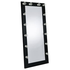 Coaster Furniture Zayan Black Full Length Floor Mirror