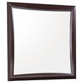 Phoenix Square Dresser Mirror Deep Cappuccino