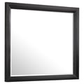 Briana Rectangle Dresser Mirror Black