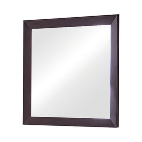 Coaster Furniture Kauffman Dark Cocoa Rectangular Mirror