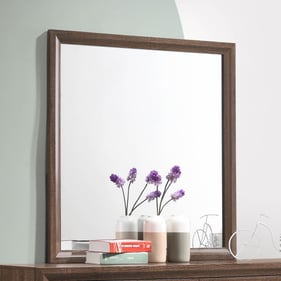 Coaster Furniture Brandon Medium Warm Brown Framed Mirror