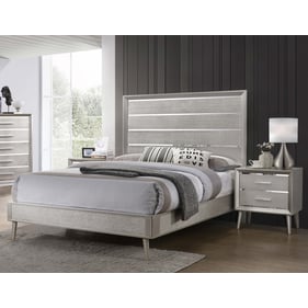 Coaster Furniture Ramon Metallic Sterling 2pc Queen Bedroom Set