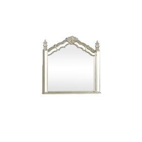 Coaster Furniture Heidi Metallic Platinum Mirror