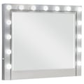 Eleanor Metallic Rectangular Dresser Mirror with Light