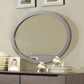 Furniture of America Lennart Gray Oval Mirror